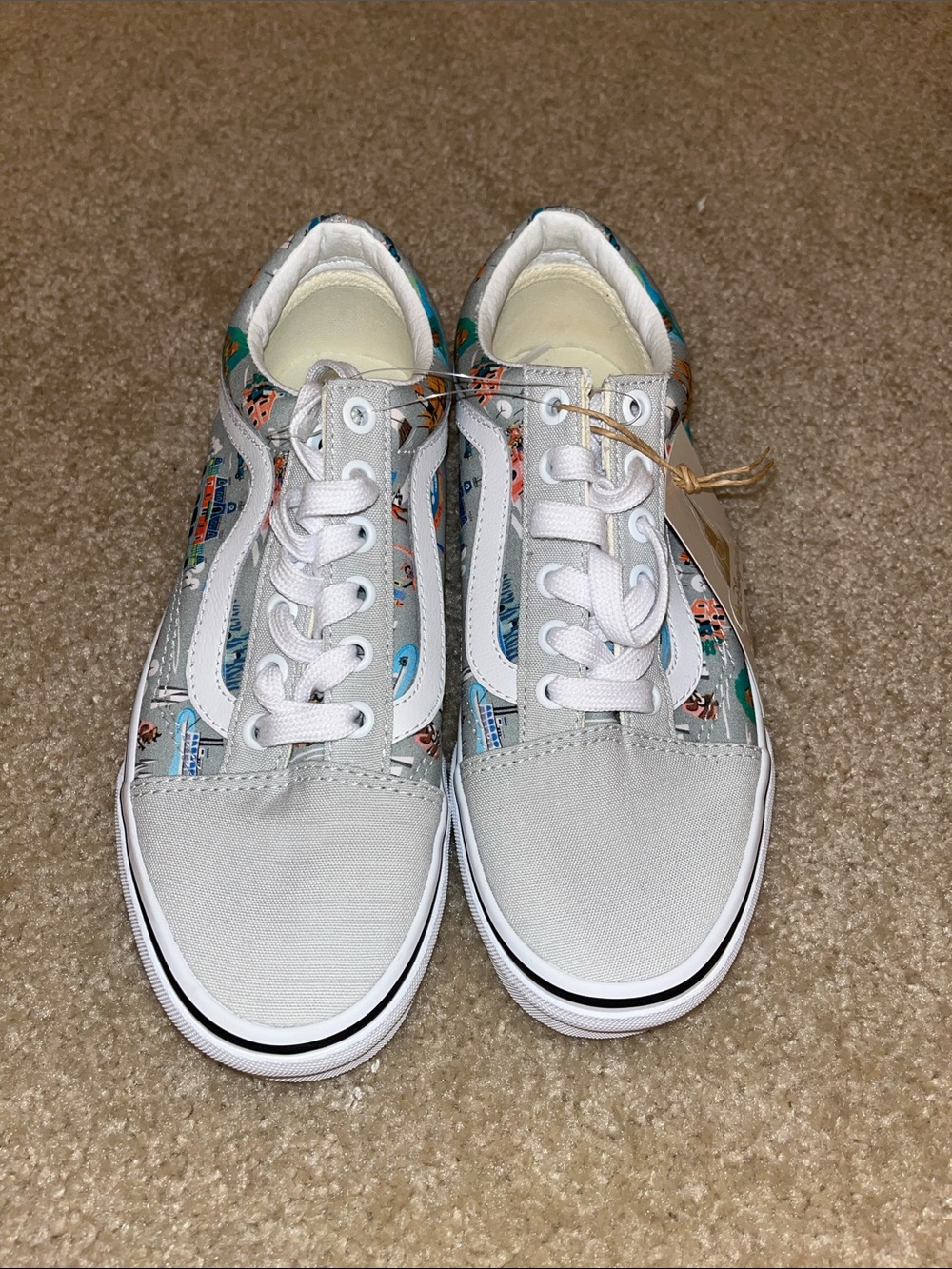 Disney magic kingdom vans